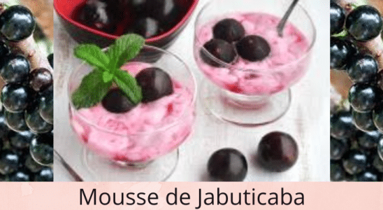 Deliciosa Mousse de Jabuticaba